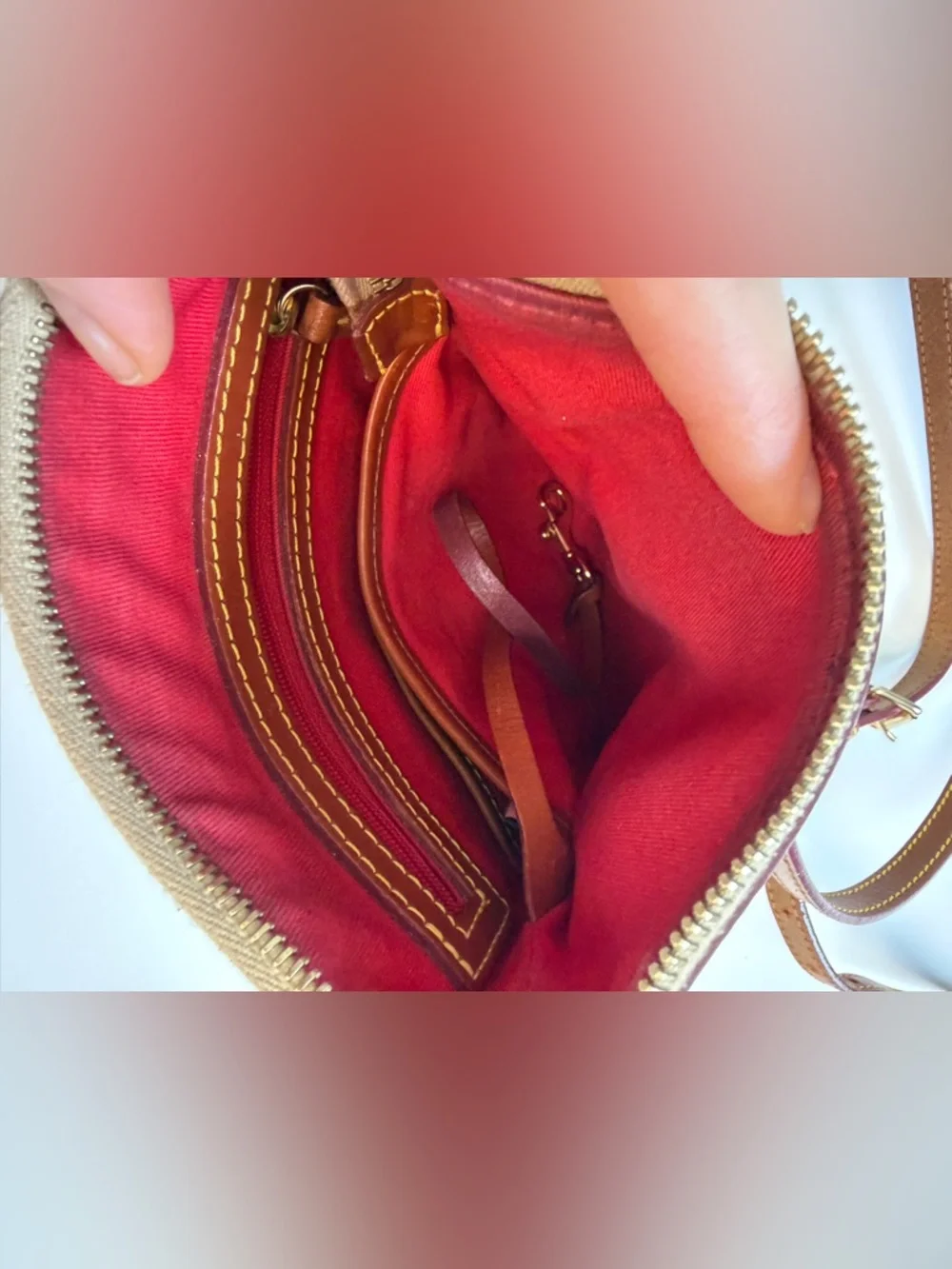 Dooney and Bourke 55th Anniversary Disneyland Crossbody Bag